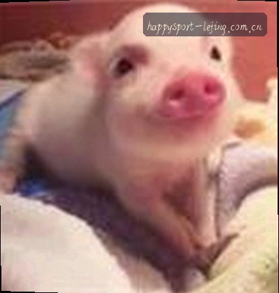周磊